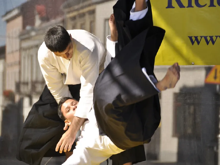 Pokaz Aikido na świeżym powietrzu