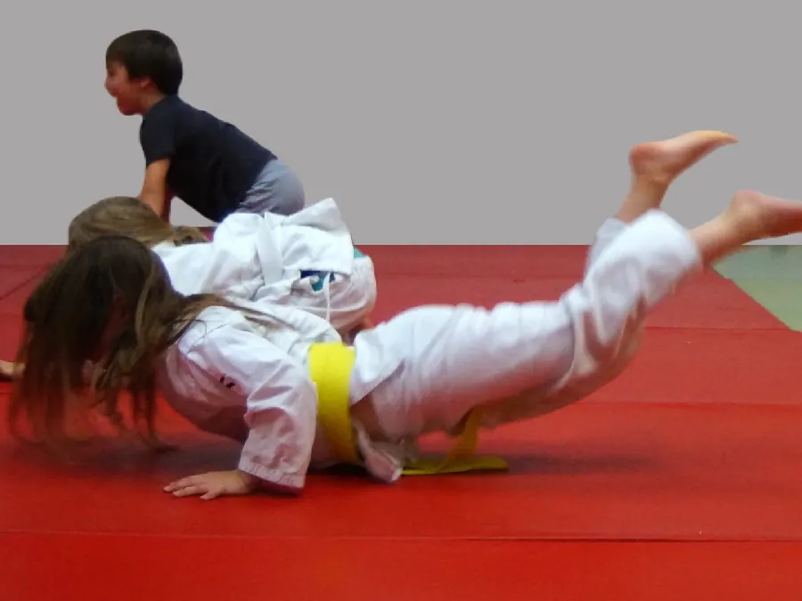 Zajęcia Aikido dla dzieci